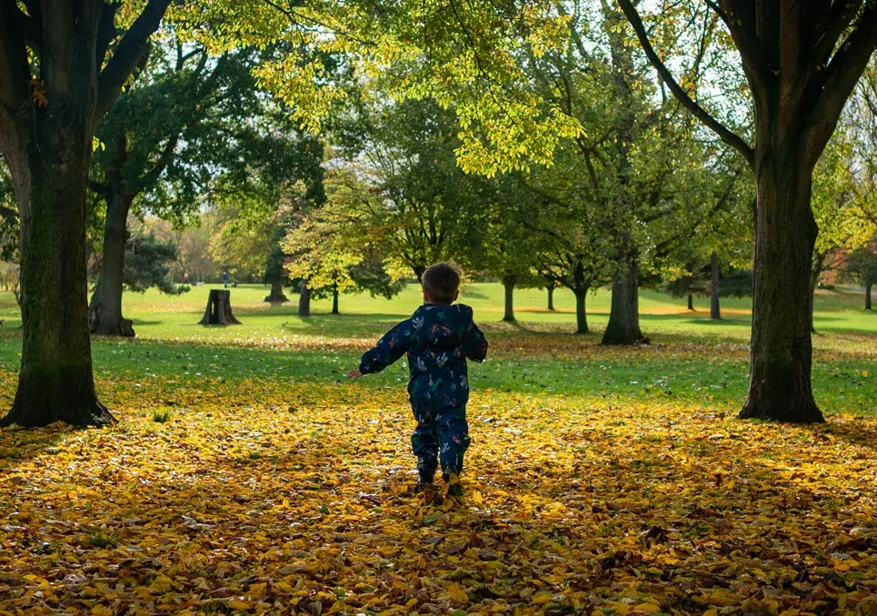 25 Totally Free Family Activities to Do This Weekend (Kid & Dog Approved!)