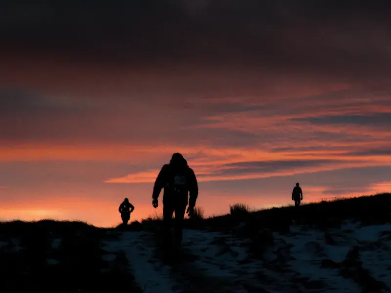 Cheviot Goat Ultra