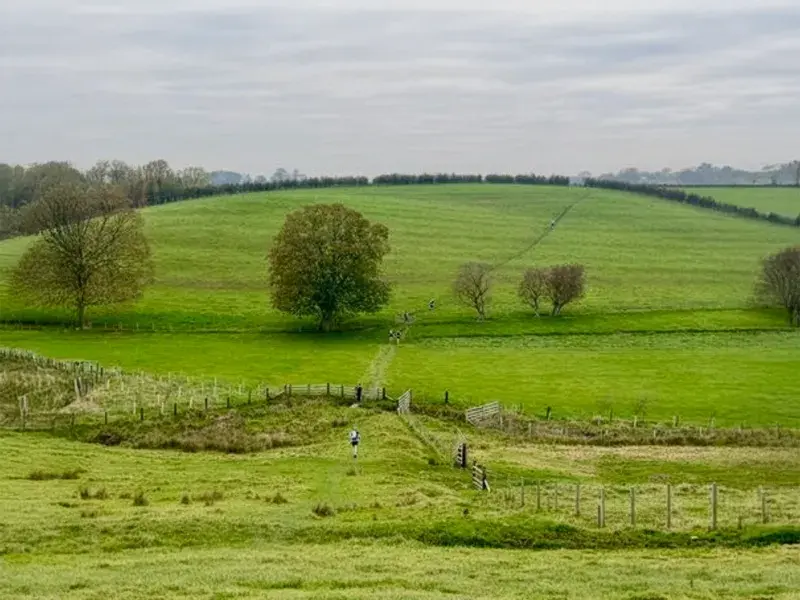 Dales Dazzler 50 Miler