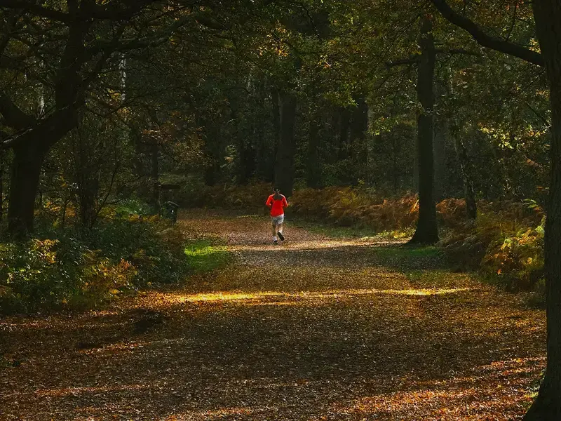 National Forest Way Ultra