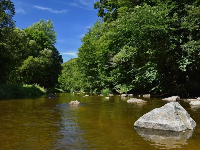 The Llangollen 50k