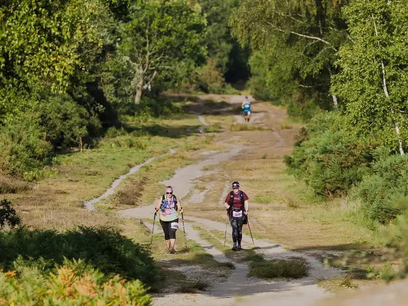 Serpent Trail 50K