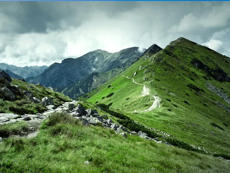 Ultra-Trail Snowdonia 50K
