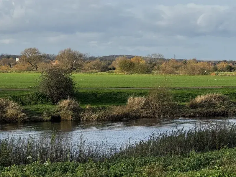 Trent Valley 50K Ultra