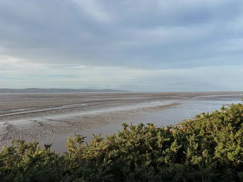 Wirral Backyard Ultra